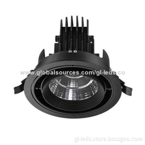 High-lumen 30W 5-year Warranty Cob LED Down Light